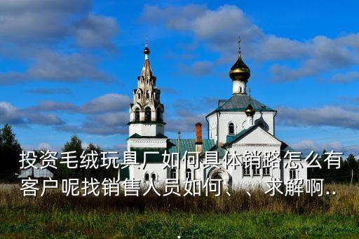  投資毛絨玩具廠如何具體銷路怎么有客戶呢找銷售人員如何、、求解啊...