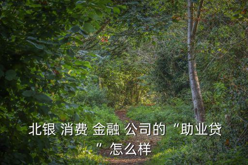 北銀 消費(fèi) 金融 公司的“助業(yè)貸”怎么樣