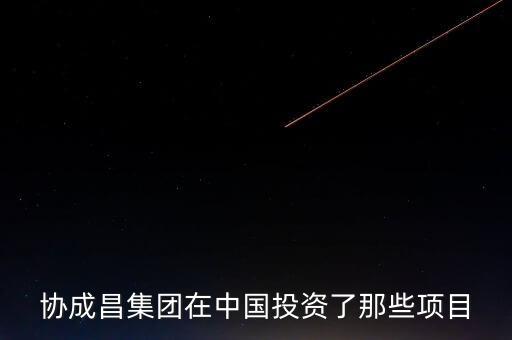 協(xié)成昌集團(tuán)在中國(guó)投資了那些項(xiàng)目