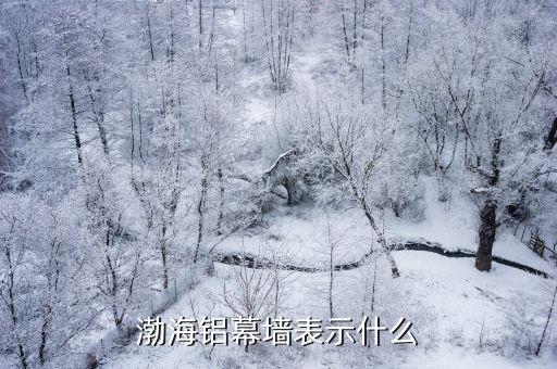 中國建筑企業(yè)在海外建筑市場