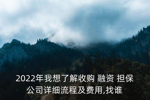 2022年我想了解收購 融資 擔保公司詳細流程及費用,找誰