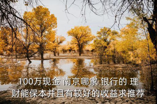 100萬現(xiàn)金 南京哪家 銀行的 理財(cái)能保本并且有較好的收益求推薦