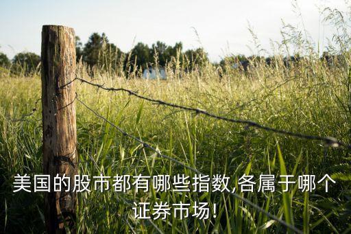 美國(guó)的股市都有哪些指數(shù),各屬于哪個(gè)證券市場(chǎng)!