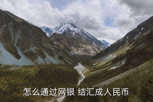 怎么通過網銀 結匯成人民幣