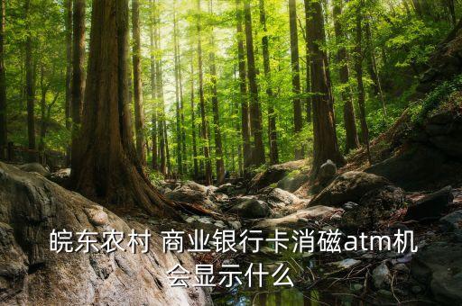 皖東商業(yè)銀行,滁州皖東農村商業(yè)銀行