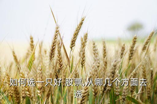 如何選一只好 股票,從哪幾個方面去選