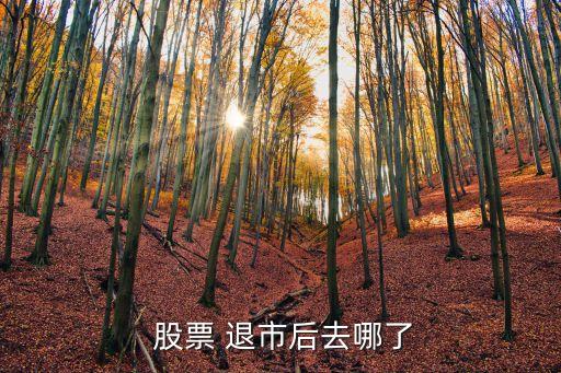已經(jīng)退市股票,所持股票退市了怎么辦