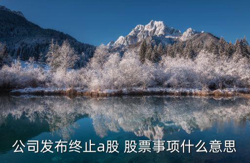 公司發(fā)布終止a股 股票事項什么意思
