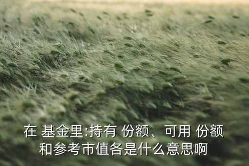 在 基金里:持有 份額、可用 份額和參考市值各是什么意思啊