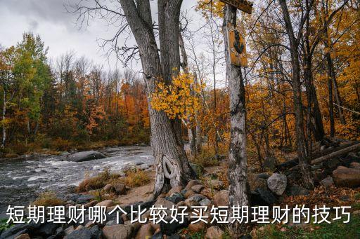 短期理財(cái)哪個(gè)比較好買(mǎi)短期理財(cái)?shù)募记? class=