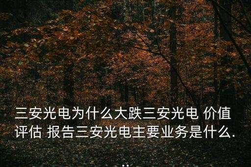 三安光電為什么大跌三安光電 價值 評估 報告三安光電主要業(yè)務(wù)是什么...