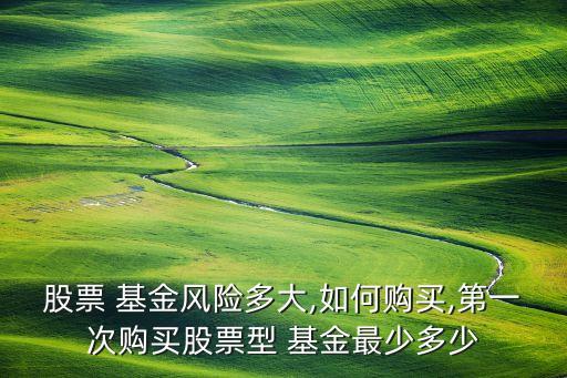股票 基金風險多大,如何購買,第一次購買股票型 基金最少多少