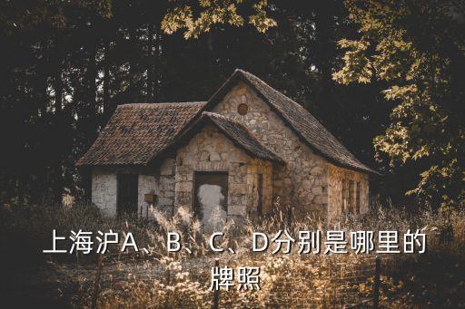  上海滬A、B、C、D分別是哪里的 牌照
