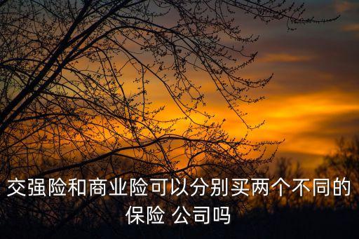 交強險和商業(yè)險可以分別買兩個不同的保險 公司嗎