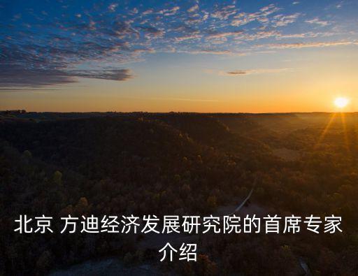 北京 方迪經濟發(fā)展研究院的首席專家介紹