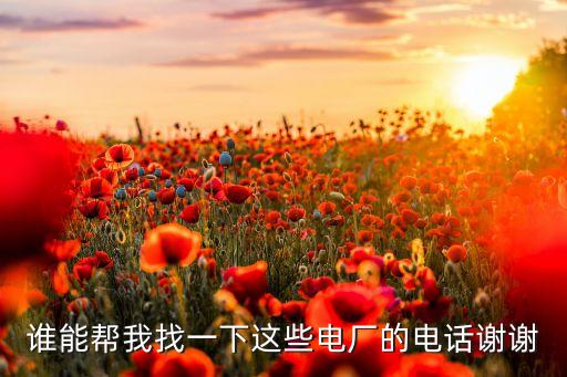 誰(shuí)能幫我找一下這些電廠的電話謝謝