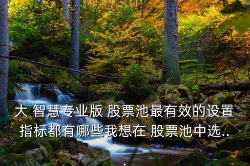 大 智慧專業(yè)版 股票池最有效的設(shè)置指標(biāo)都有哪些我想在 股票池中選...