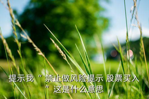 提示我“ 禁止做風險提示 股票買入”這是什么意思