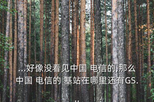 ...好像沒看見中國(guó) 電信的,那么中國(guó) 電信的 基站在哪里還有GS...