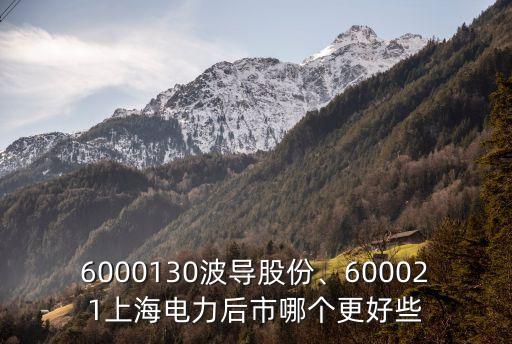 6000130波導股份、600021上海電力后市哪個更好些