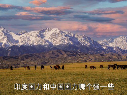  印度國(guó)力和中國(guó)國(guó)力哪個(gè)強(qiáng)一些