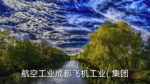 成飛集團(tuán)董事長(zhǎng),成飛工業(yè)集團(tuán)董事長(zhǎng)