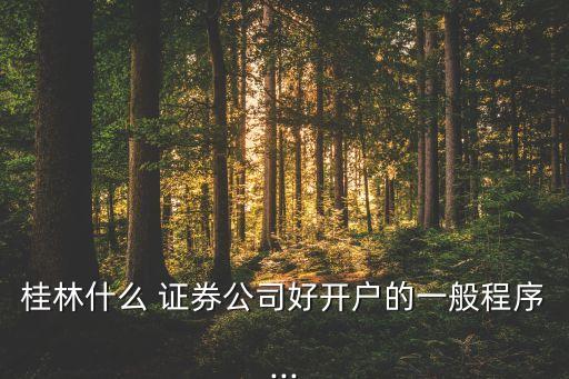 桂林什么 證券公司好開(kāi)戶的一般程序...