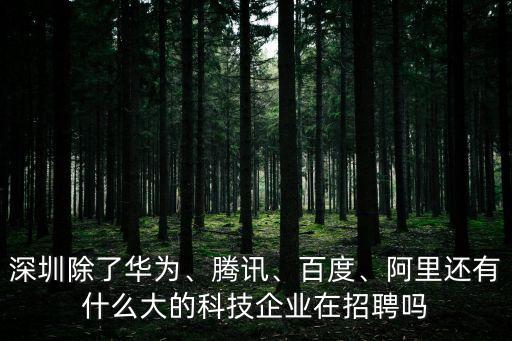 深圳除了華為、騰訊、百度、阿里還有什么大的科技企業(yè)在招聘嗎