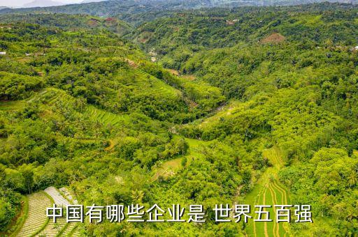 中國(guó)有哪些企業(yè)是 世界五百?gòu)?qiáng)