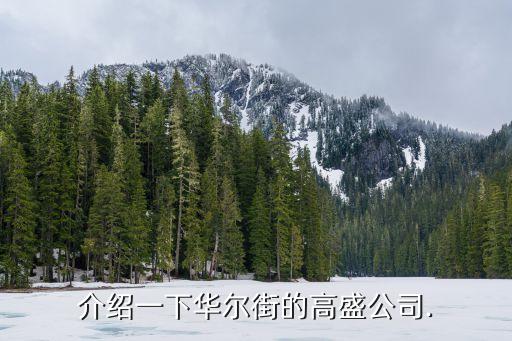 美國高盛集團市值,高盛集團市值是多少