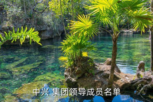 中興 集團領(lǐng)導(dǎo)成員名單