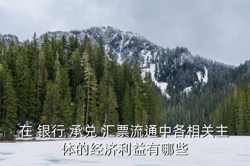 在 銀行 承兌 匯票流通中各相關主體的經濟利益有哪些