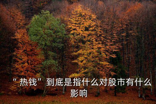 熱錢大量流出中國(guó)的影響