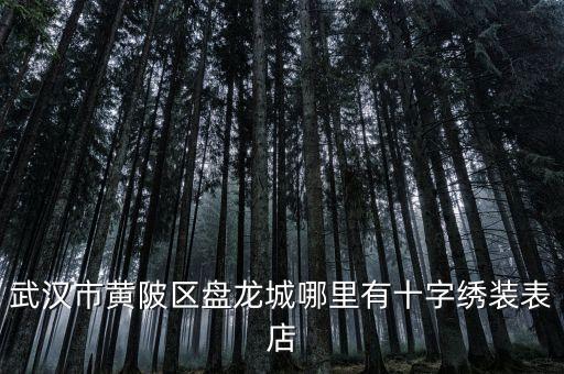 武漢市黃陂區(qū)盤(pán)龍城哪里有十字繡裝表店