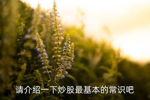 上海石化上市公告書(shū)