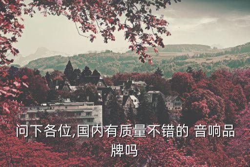 問下各位,國內有質量不錯的 音響品牌嗎