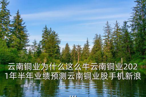 云南銅業(yè)為什么這么牛云南銅業(yè)2021年半年業(yè)績預(yù)測云南銅業(yè)股手機新浪...