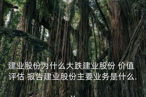 建業(yè)股份為什么大跌建業(yè)股份 價值 評估 報告建業(yè)股份主要業(yè)務(wù)是什么...