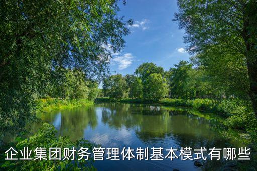 企業(yè)集團財務管理體制基本模式有哪些