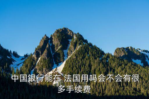  中國銀行能在 法國用嗎會不會有很多手續(xù)費(fèi)