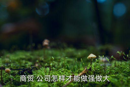 商貿 公司怎樣才能做強做大