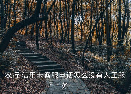農(nóng)業(yè)銀行信用卡營銷與管理,申請(qǐng)農(nóng)業(yè)銀行信用卡營銷授權(quán)是什么意思