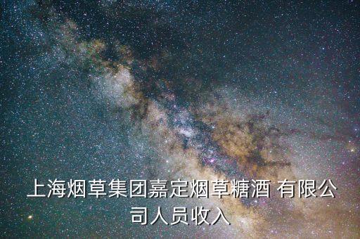 上海棗開心商貿(mào)有限公司待遇,武漢棗王街商貿(mào)有限公司