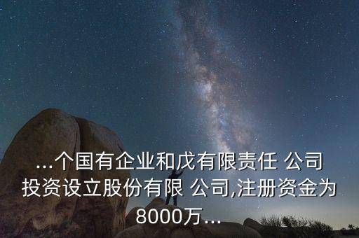 ...個(gè)國(guó)有企業(yè)和戊有限責(zé)任 公司投資設(shè)立股份有限 公司,注冊(cè)資金為8000萬(wàn)...