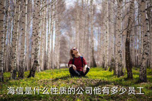 海信是什么性質(zhì)的公司他有多少員工