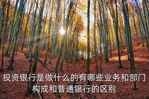 投資銀行是做什么的有哪些業(yè)務(wù)和部門(mén)構(gòu)成和普通銀行的區(qū)別
