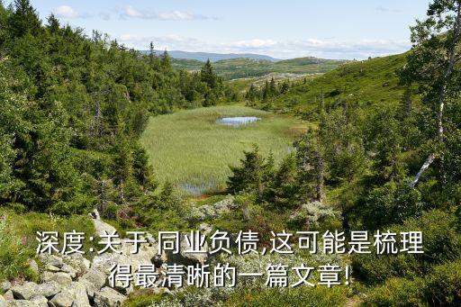 深度:關(guān)于 同業(yè)負(fù)債,這可能是梳理得最清晰的一篇文章!
