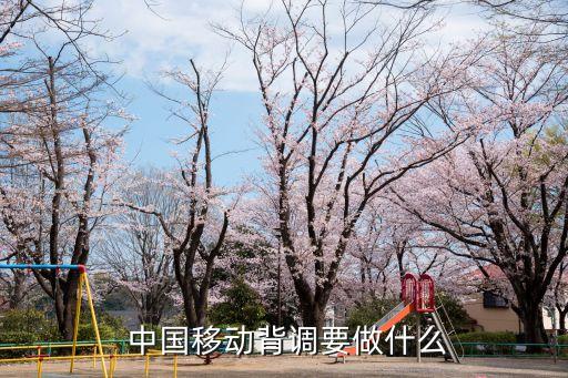 中國移動(dòng)招聘互聯(lián)網(wǎng)金融總監(jiān)