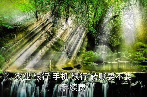農業(yè) 銀行 手機 銀行 轉賬要不要手續(xù)費