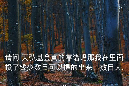 請問 天弘基金真的靠譜嗎那我在里面投了錢少數(shù)目可以提的出來、數(shù)目大...